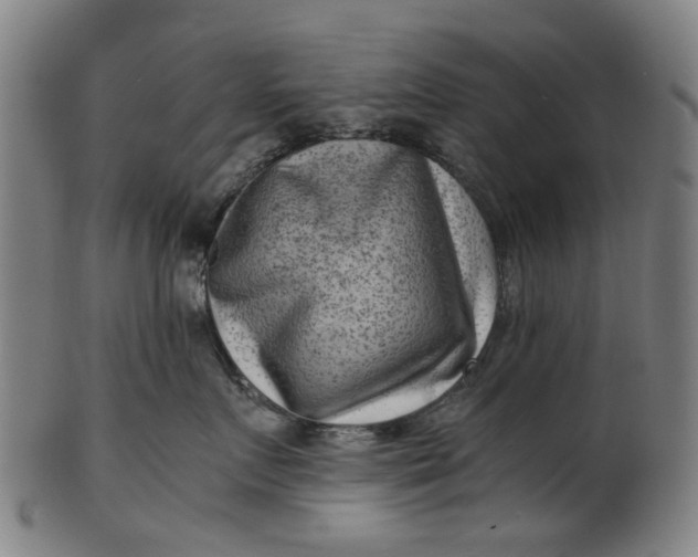 X0000101650719200807241355