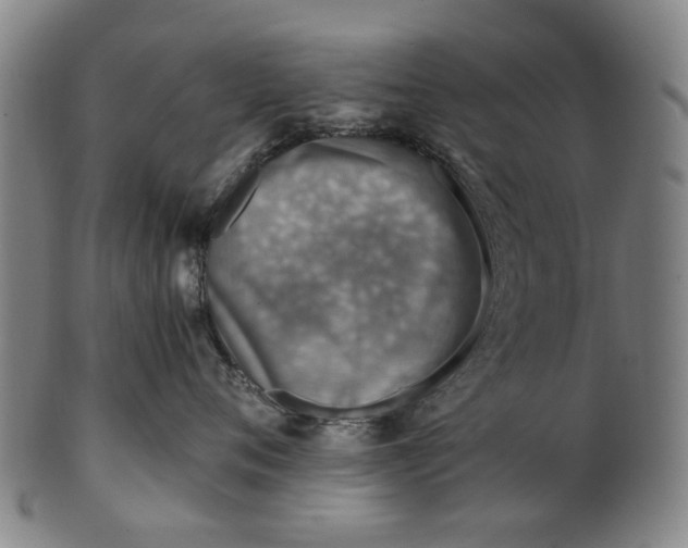 X0000101650720200807241355