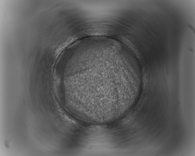 X0000101650721200807241354