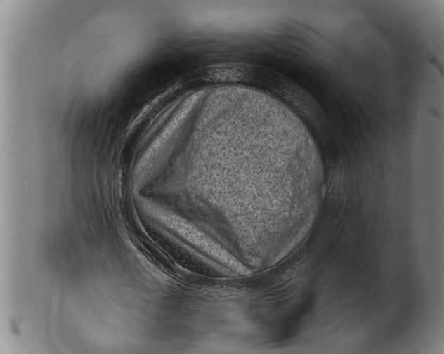 X0000101650722200807241354