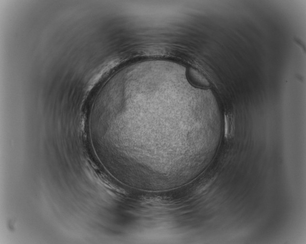 X0000101650723200807241354