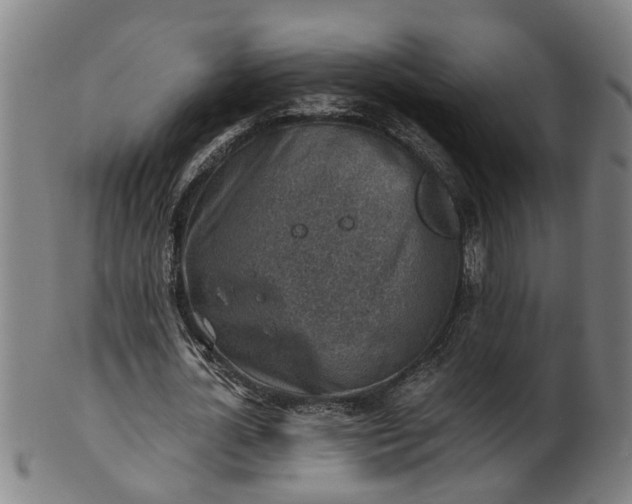 X0000101650724200807241354