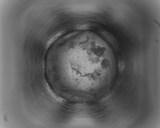 X0000101650725200807241354