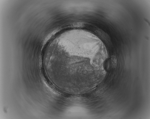 X0000101650726200807241354