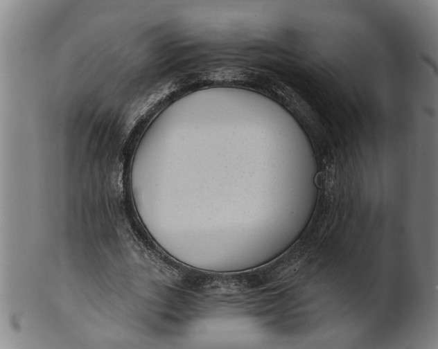 X0000101650727200807241354