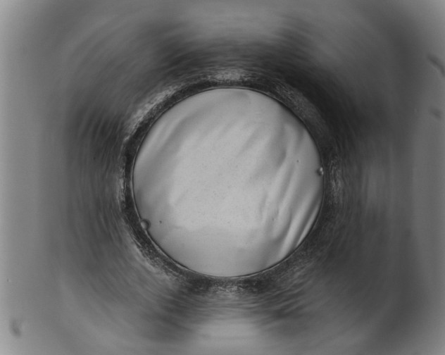 X0000101650728200807241354