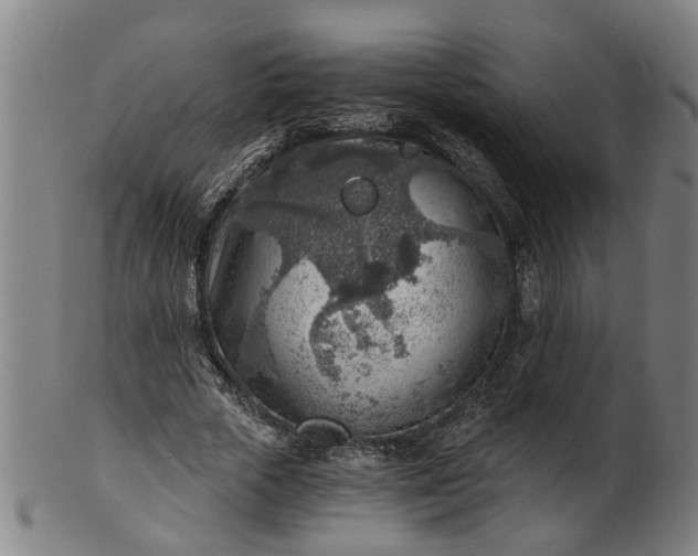 X0000101650729200807241354