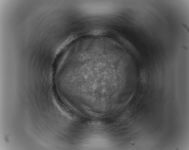 X0000101650730200807241354