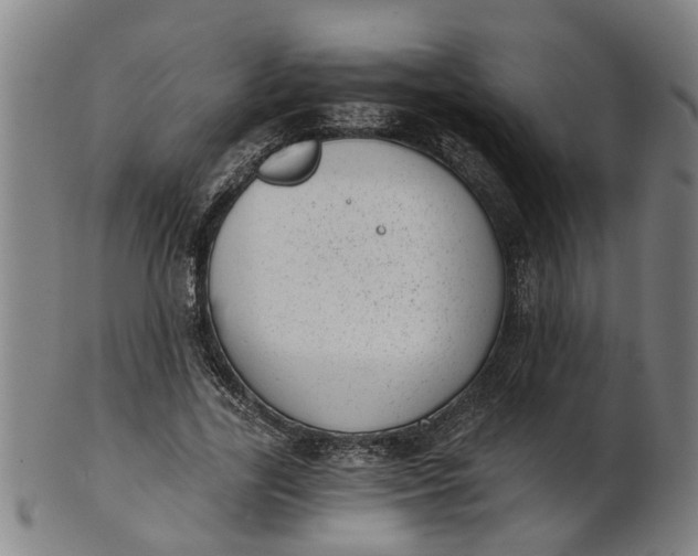 X0000101650731200807241354