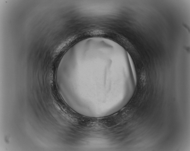 X0000101650732200807241354