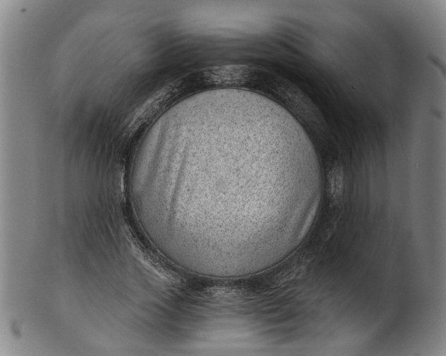 X0000101650733200807241354