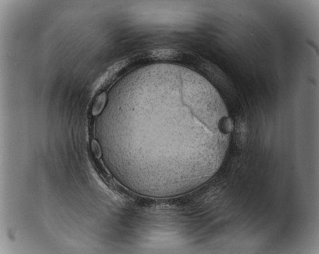 X0000101650734200807241354