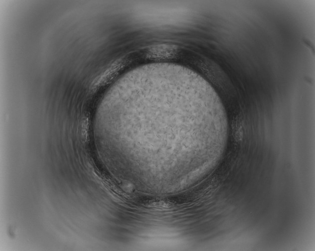 X0000101650735200807241354