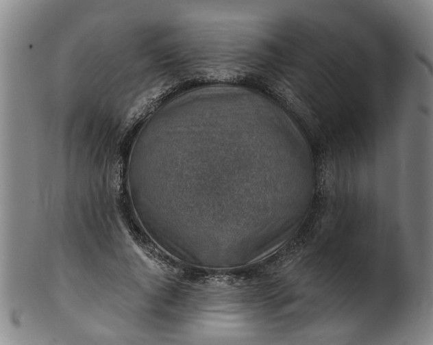 X0000101650736200807241354