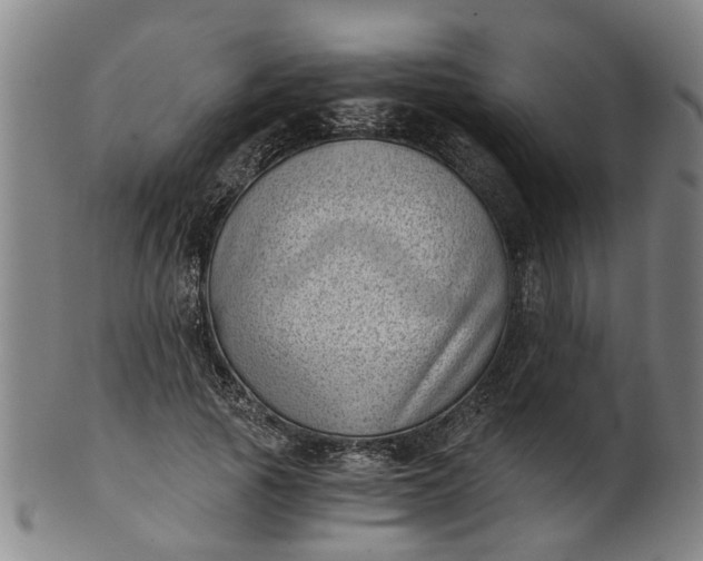 X0000101650737200807241354