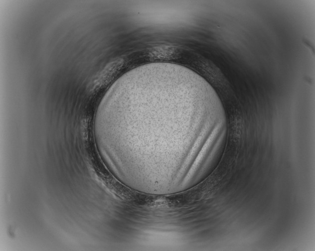 X0000101650738200807241354