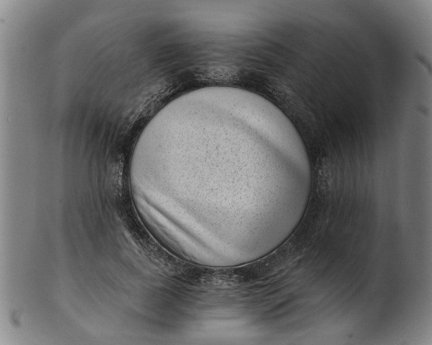 X0000101650739200807241354