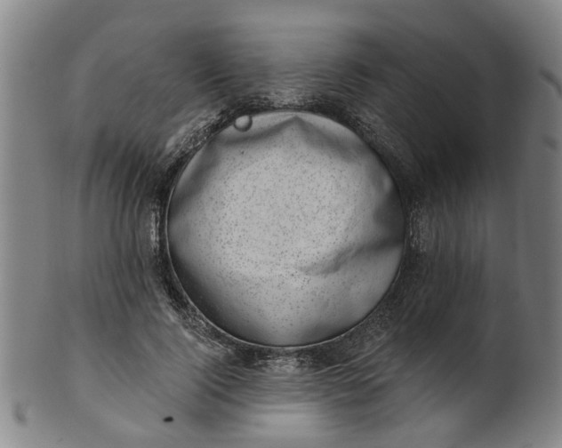 X0000101650740200807241354