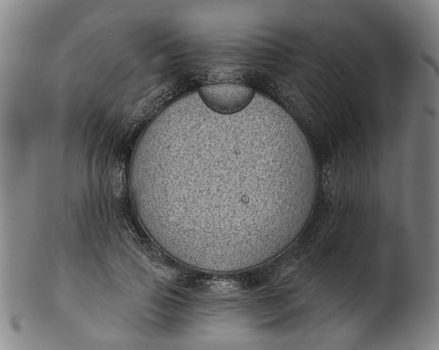 X0000101650741200807241354