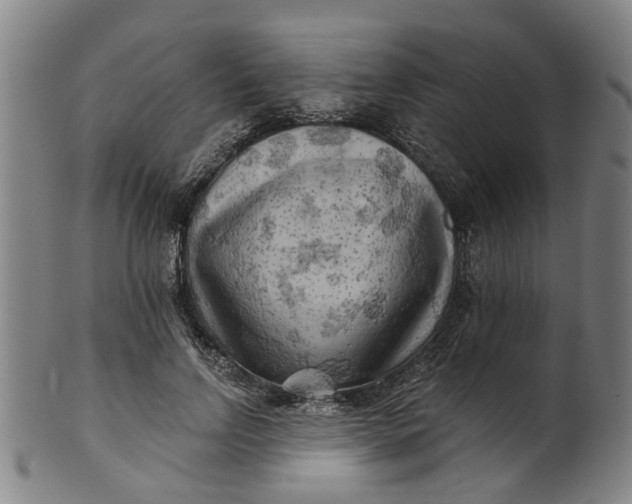 X0000101650742200807241354