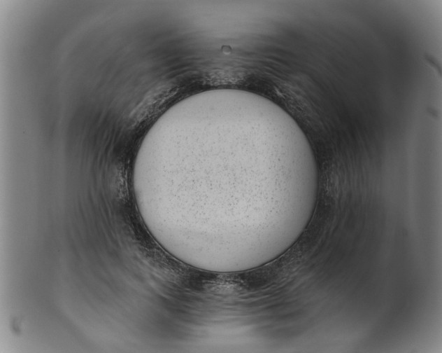 X0000101650743200807241354