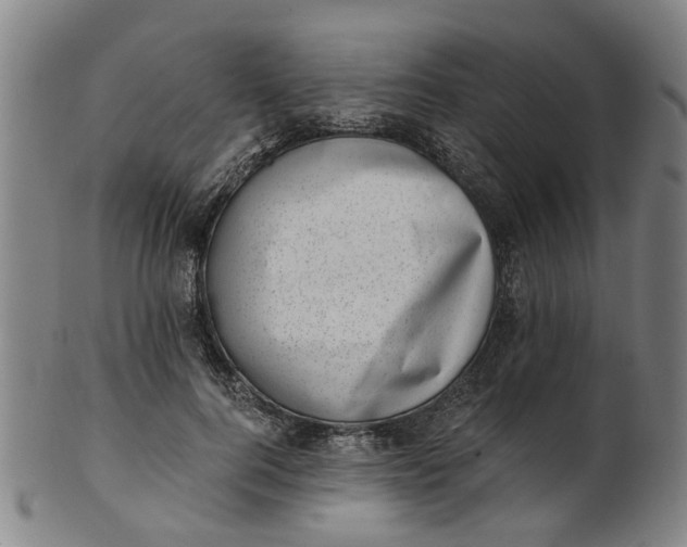 X0000101650744200807241354