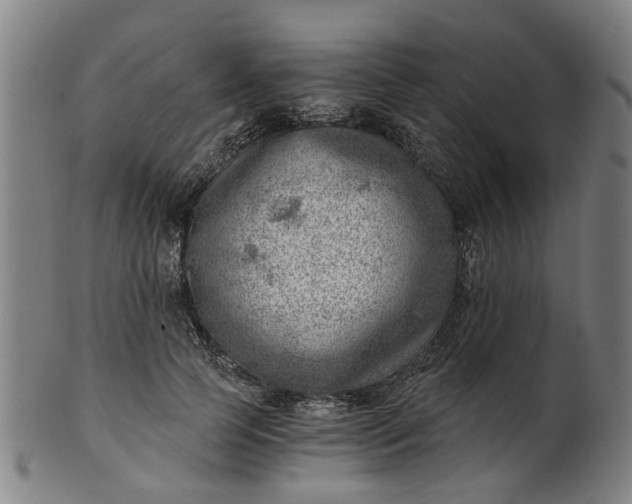 X0000101650745200807241354