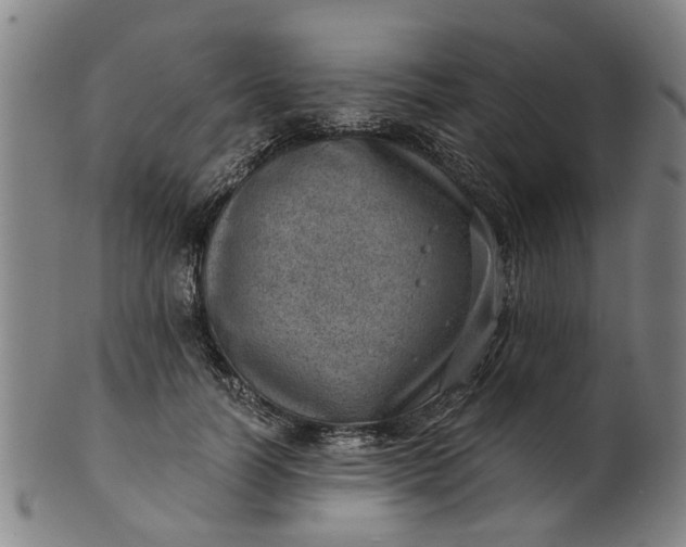 X0000101650746200807241354