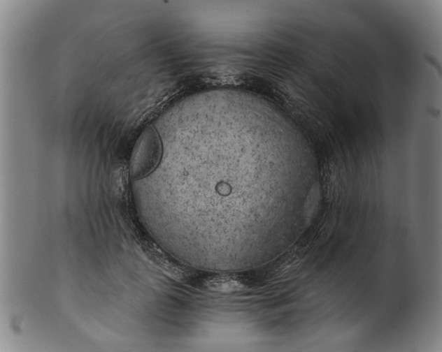 X0000101650747200807241354