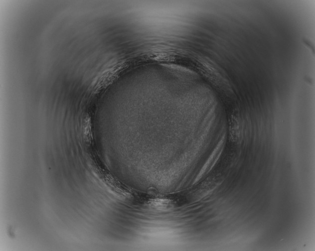 X0000101650748200807241354