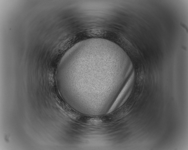 X0000101650749200807241354