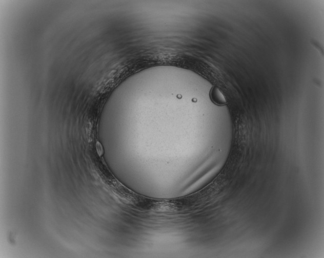 X0000101650750200807241354