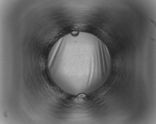 X0000101650751200807241354