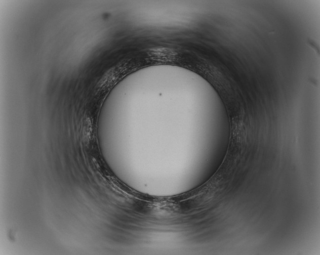 X0000101650752200807241354