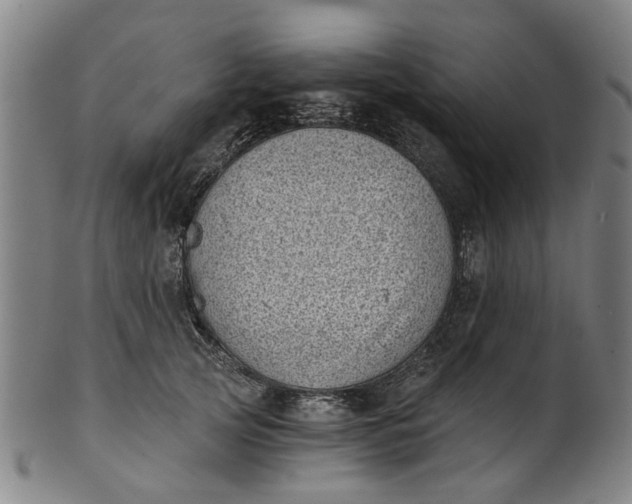 X0000101650753200807241354