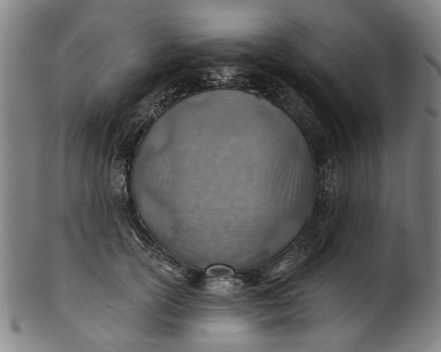 X0000101650754200807241354