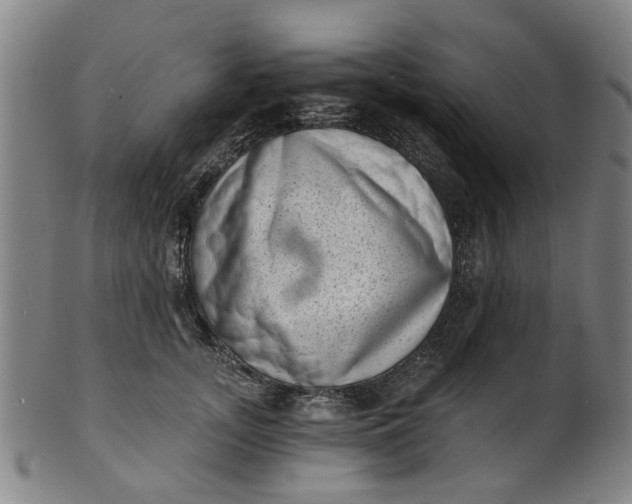 X0000101650755200807241354