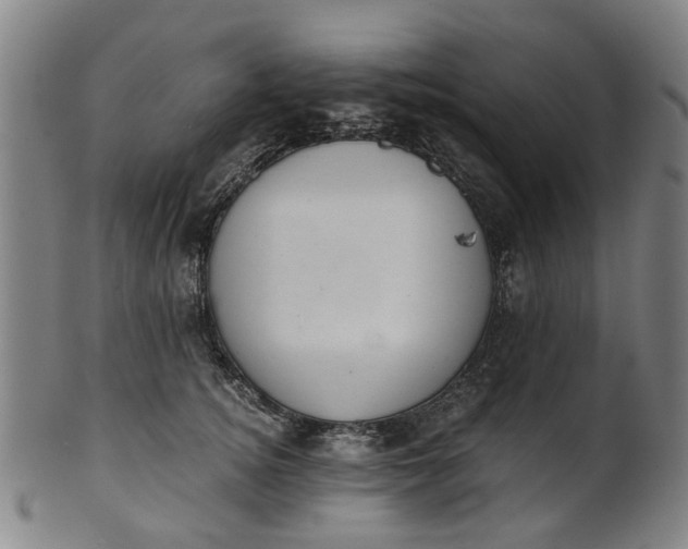 X0000101650756200807241354