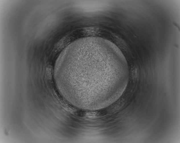 X0000101650757200807241354