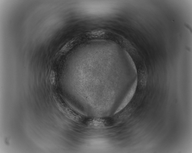 X0000101650758200807241354