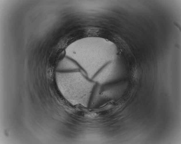 X0000101650759200807241354