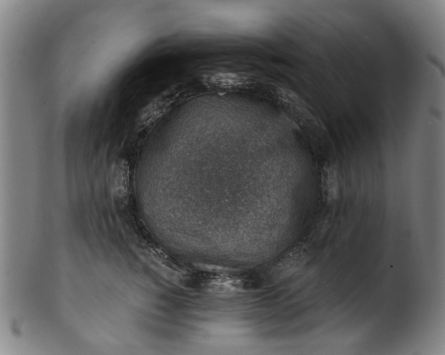 X0000101650760200807241354