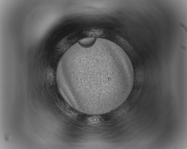 X0000101650761200807241355