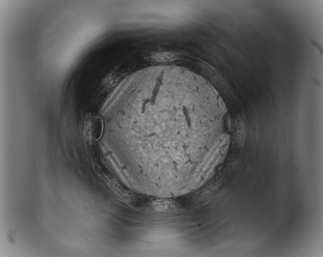 X0000101650762200807241355