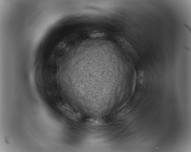 X0000101650763200807241355