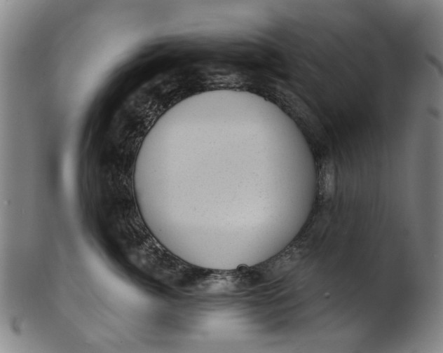 X0000101650764200807241355