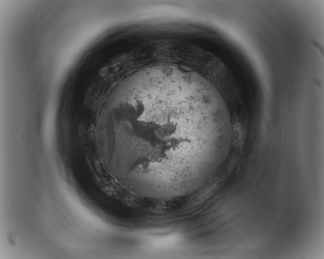 X0000101650765200807241355