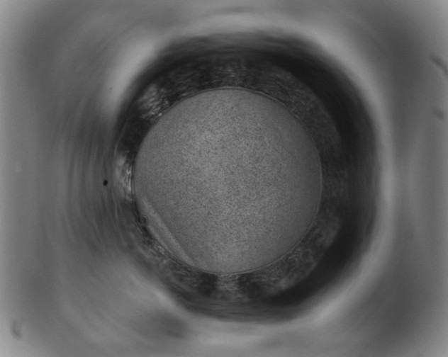 X0000101650766200807241355