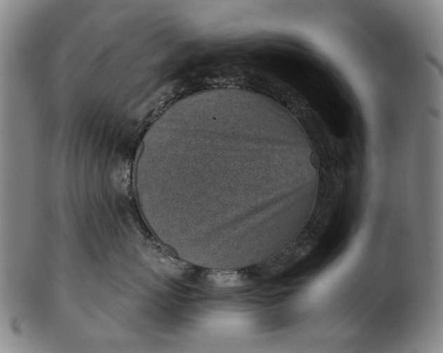 X0000101650767200807241355