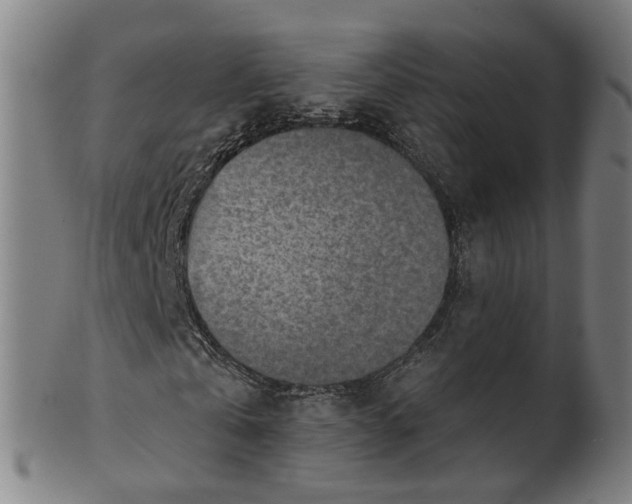 X0000101650769200807241354